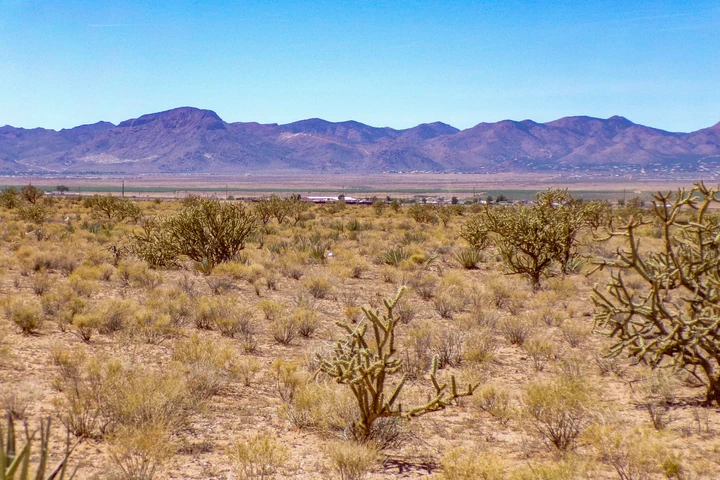 Nearby Listing Image