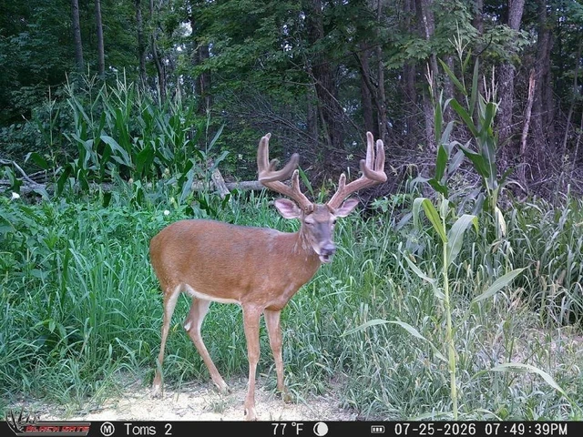 Nearby Listing Image