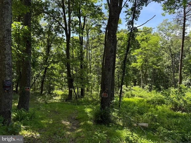Nearby Listing Image