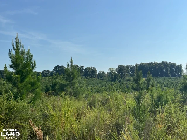Nearby Listing Image