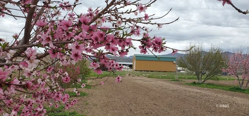 Nearby Listing Image