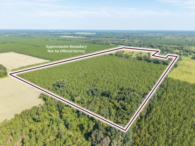 Nearby Listing Image