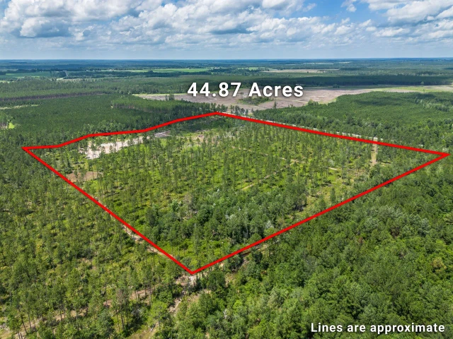 Nearby Listing Image