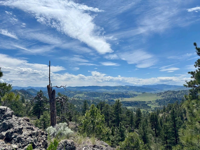 Nearby Listing Image