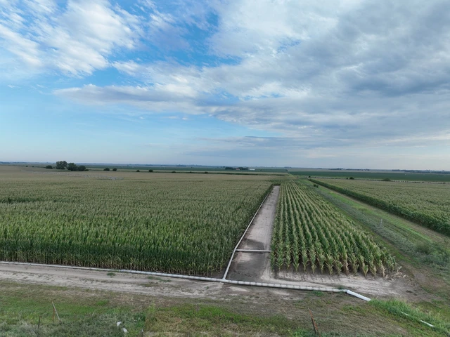 Nearby Listing Image