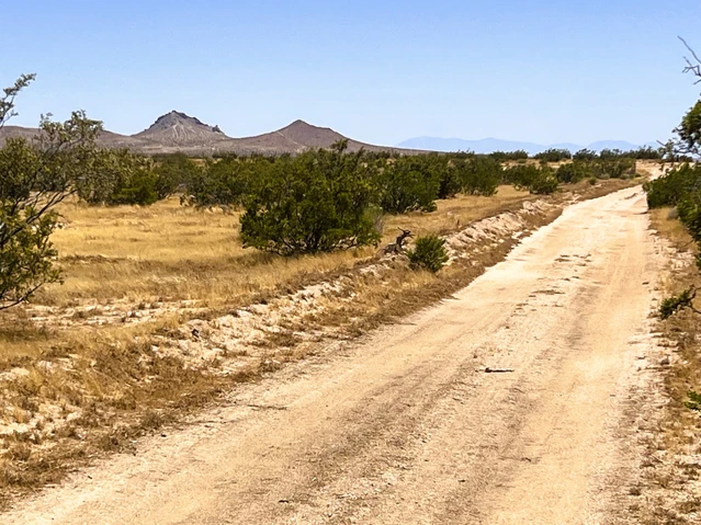 Nearby Listing Image