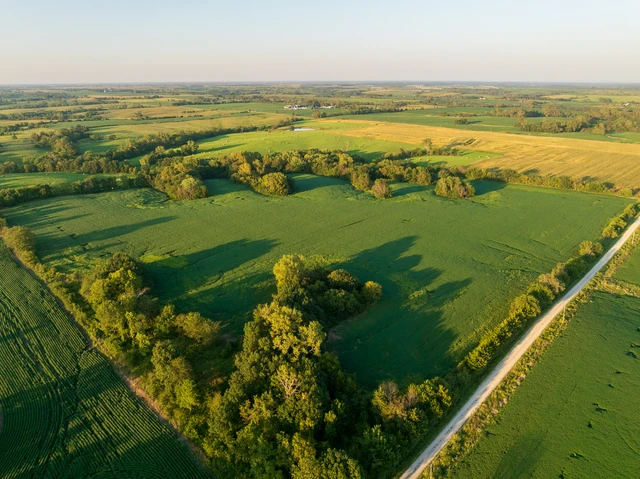 Nearby Listing Image