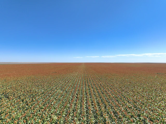 Nearby Listing Image