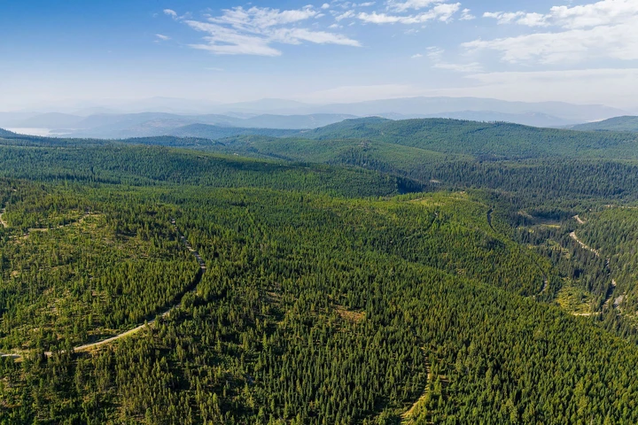 Nearby Listing Image