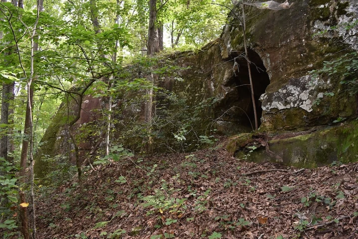 Nearby Listing Image