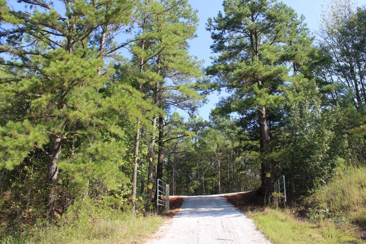 Nearby Listing Image