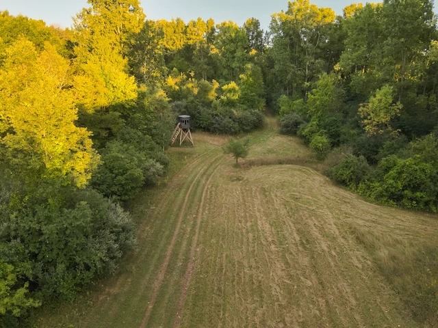 Nearby Listing Image