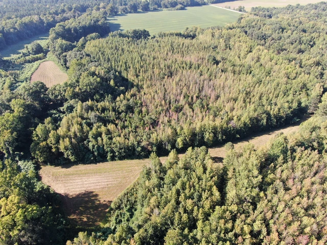 Nearby Listing Image