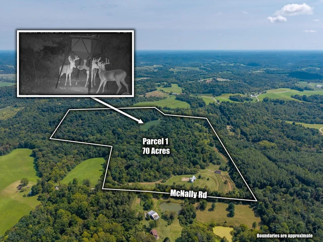 Nearby Listing Image