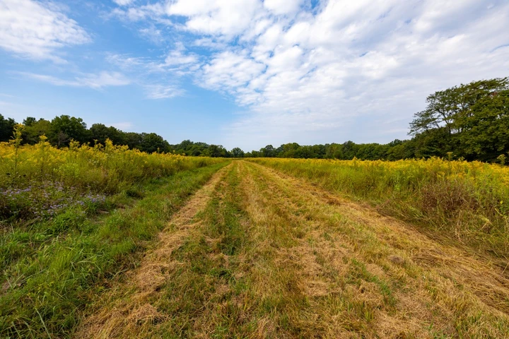 Nearby Listing Image