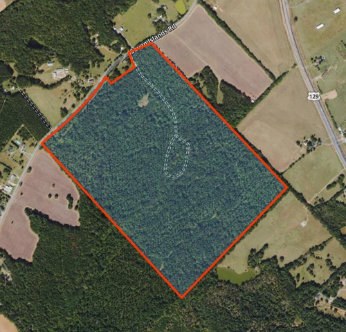 Main Listing Image