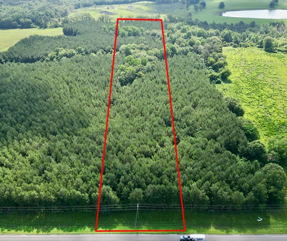 Main Listing Image