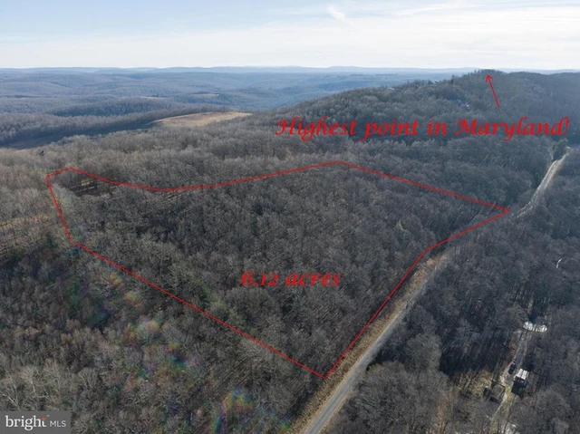 Main Listing Image