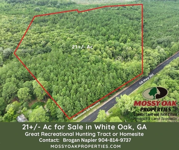 Main Listing Image