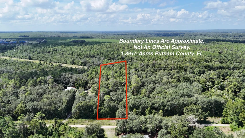 Main Listing Image
