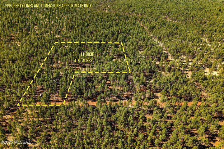 Main Listing Image