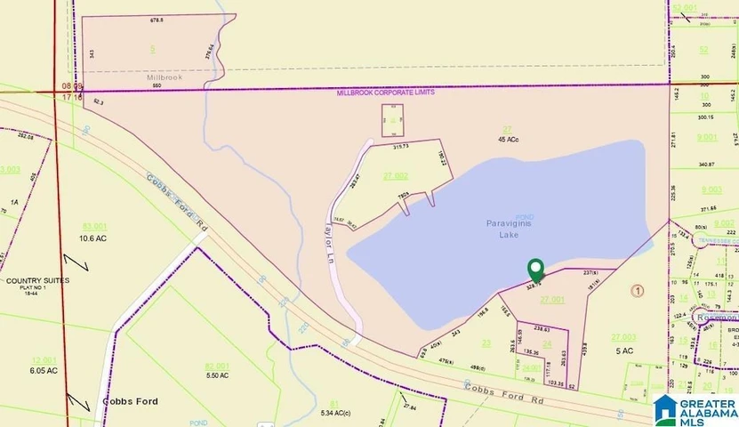 Main Listing Image