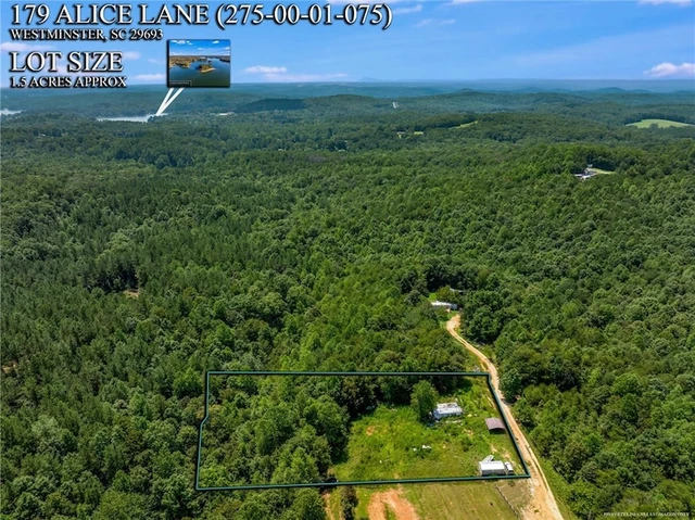 Main Listing Image