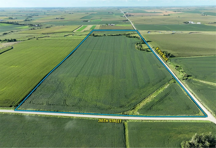 Main Listing Image