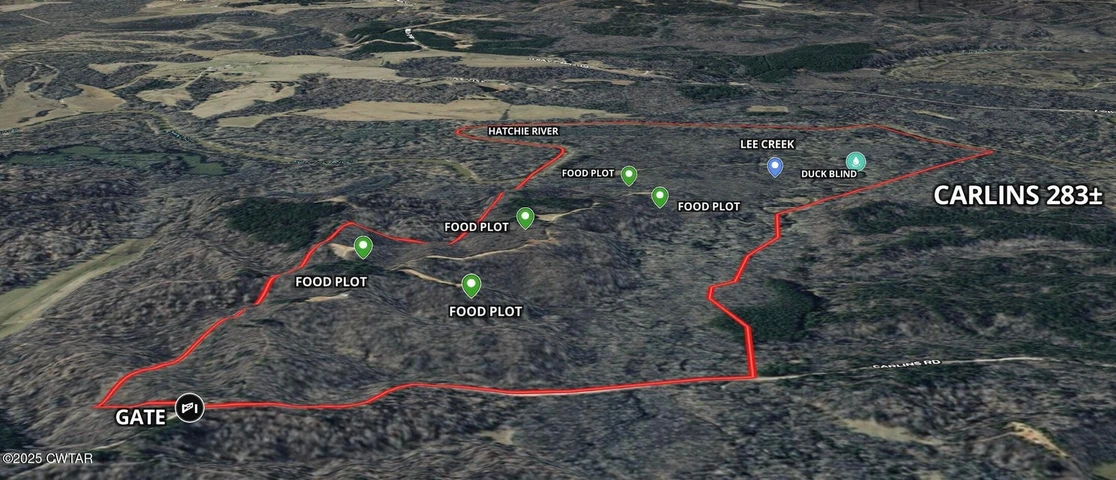 Main Listing Image