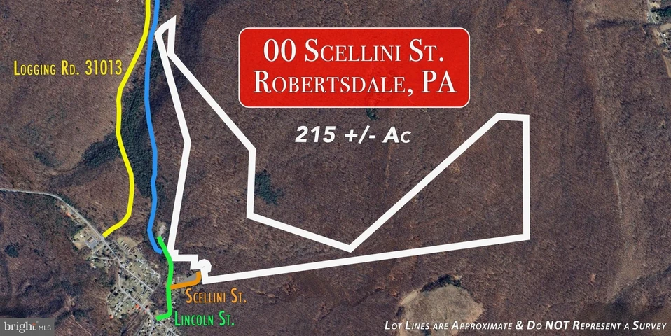 Main Listing Image