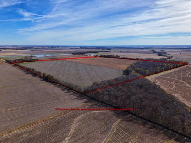 Main Listing Image