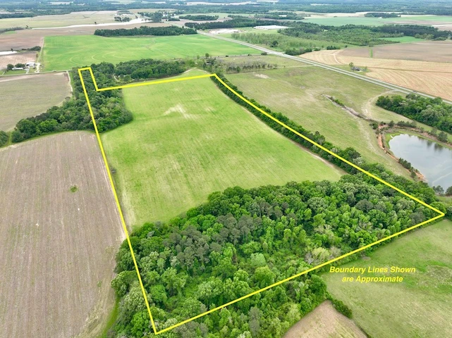 Main Listing Image