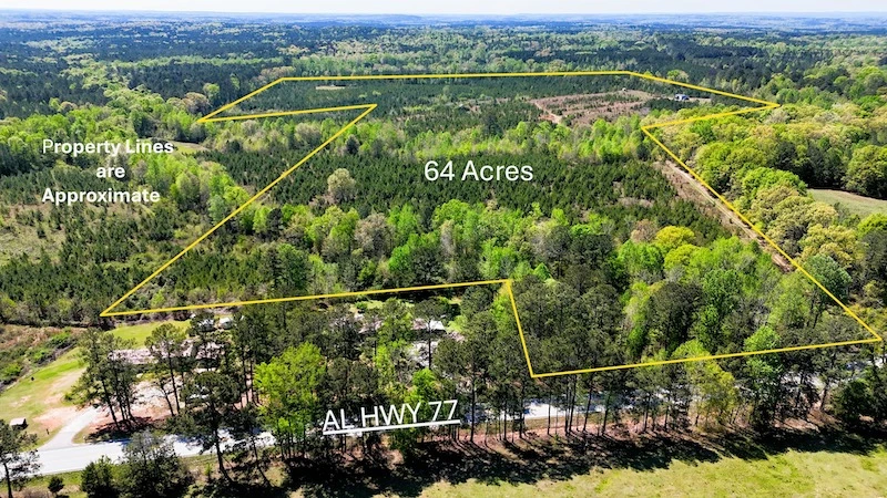 Main Listing Image