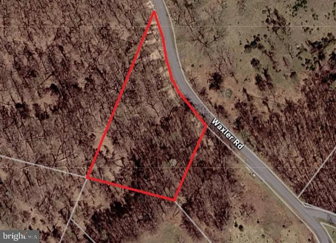 Main Listing Image