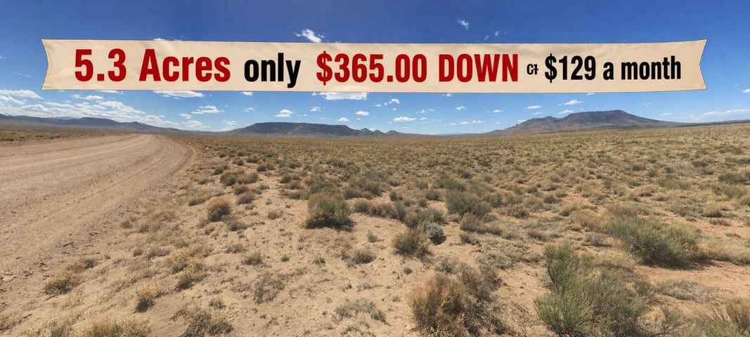 Main Listing Image