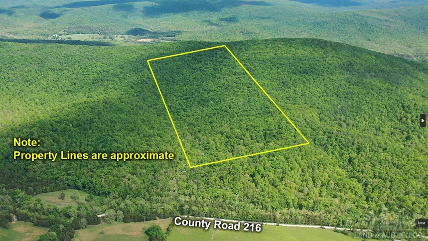 Main Listing Image