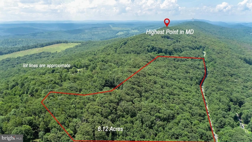 Main Listing Image