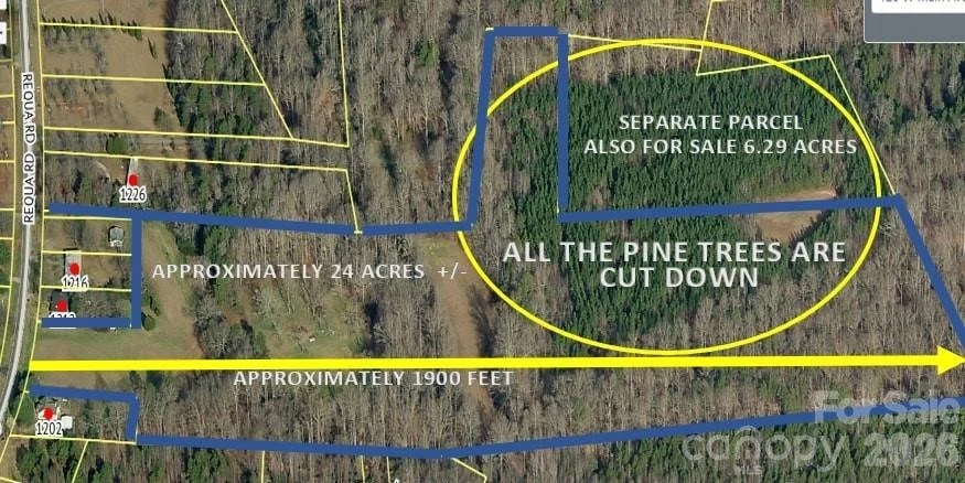 Main Listing Image