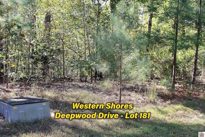 Main Listing Image