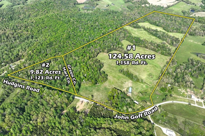 Main Listing Image