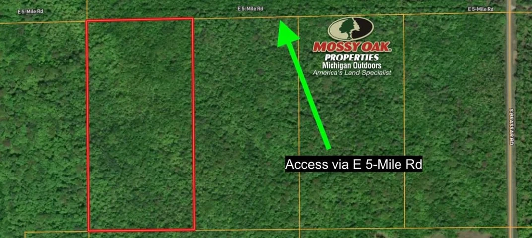 Main Listing Image