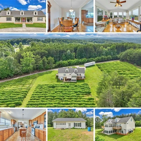 Main Listing Image