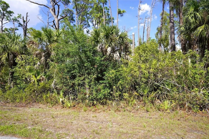 Main Listing Image