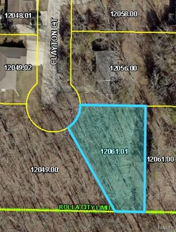 Main Listing Image