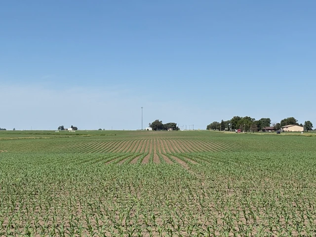 Main Listing Image