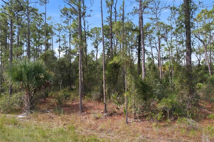 Main Listing Image