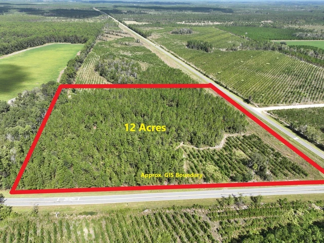 Main Listing Image