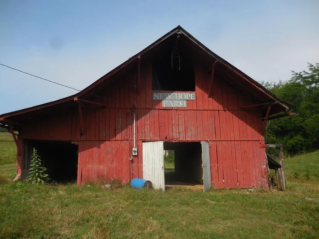 Main Listing Image
