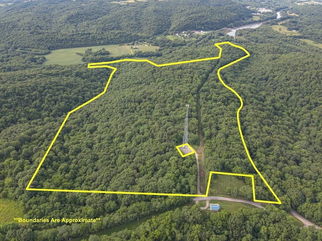 Main Listing Image