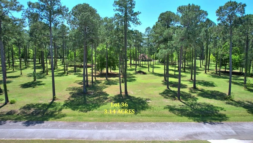 Main Listing Image